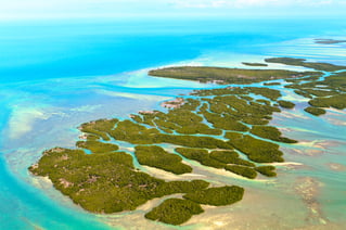 Private Key West Patch Reef & Flats Fishing