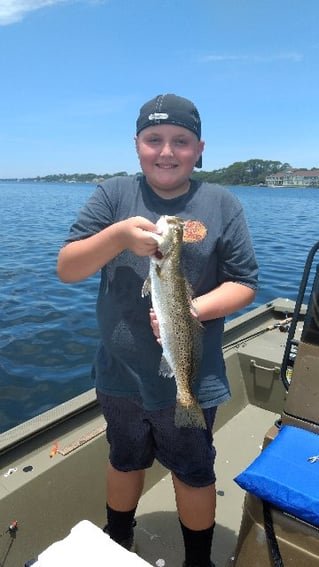 Redfish and Speckled Trout