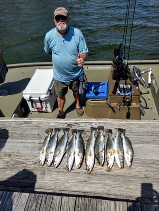 Redfish and Speckled Trout