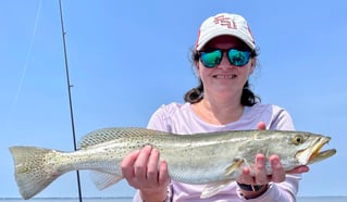 Redfish and Speckled Trout