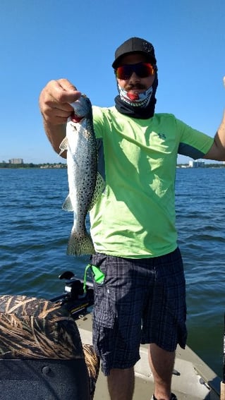 Redfish and Speckled Trout