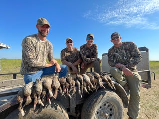 Louisiana Early Season Teal Hunts With LODGING