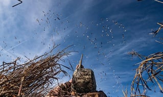 Full service Arkansas waterfowl hunts