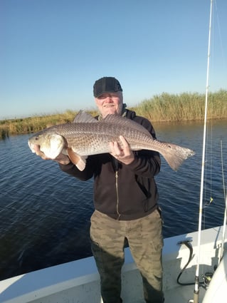 Redfish Fishing in Lafitte, Louisiana