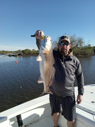 Redfish Fishing in Lafitte, Louisiana