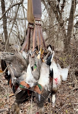 Waterfowl Hunting