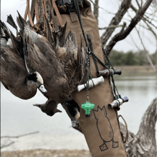 Guided TX Public Land Duck Hunt