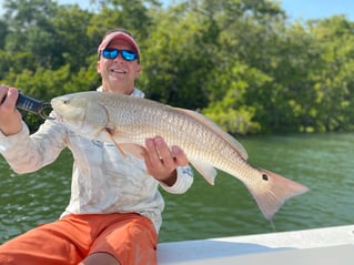 Redfish Fishing in Cape Coral, Florida