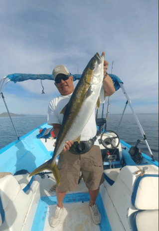 Yellowtail Amberjack Fishing in Loreto, Mexico