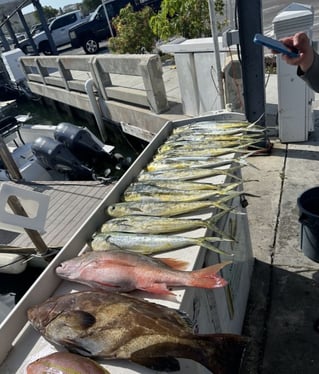 Mahi Mahi, Red Snapper Fishing in Key West, Florida