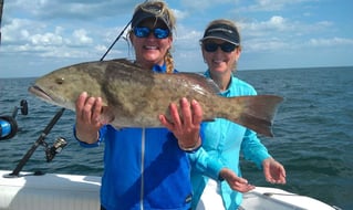 Gag Grouper Fishing in Naples, Florida