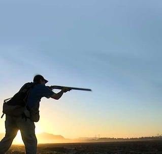 North Texas Dove Hunting