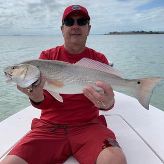 Redfish Fishing in Big Pine Key, Florida