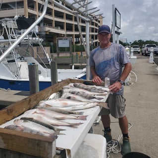 Black Drum, Redfish, Speckled Trout Fishing in Biloxi, Mississippi