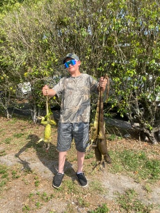 Iguana Hunting in West Palm Beach, Florida