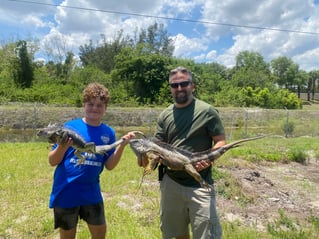 Iguana Hunting in West Palm Beach, Florida