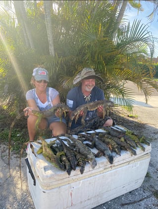 West Palm Iguana Hunting