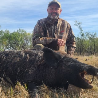 Hog Fishing in Seymour, Texas