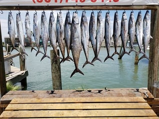 Kingfish Fishing in Port Aransas, Texas