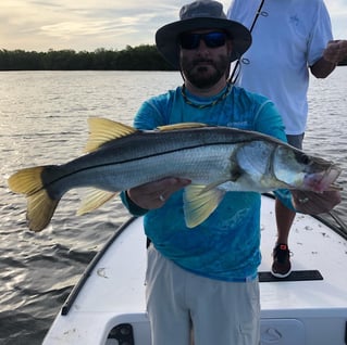 Snook Fishing in Sebastian, Florida