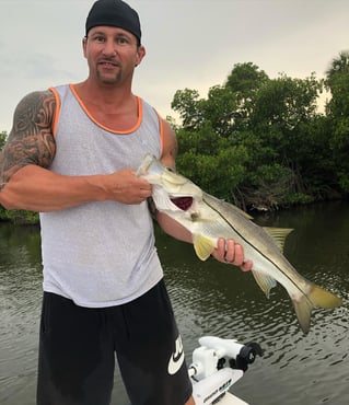 Snook Fishing in Sebastian, Florida