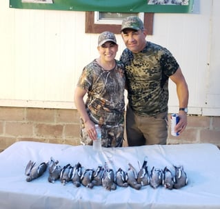 Dove Hunt