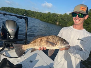 Black Drum Fishing in Homestead, Florida