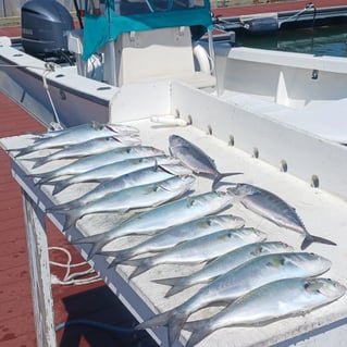 Wrightsville Beach Nearshore Fishing Charters