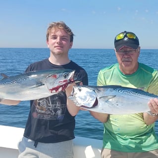 False Albacore Fishing in Wilmington, North Carolina