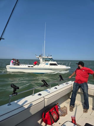 Walleye and Perch Execution