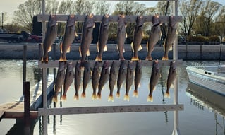 Walleye and Perch Execution