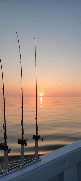 Walleye and Perch Execution