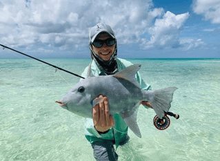 Triggerfish Fishing in