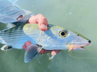 Bonefish Fishing in