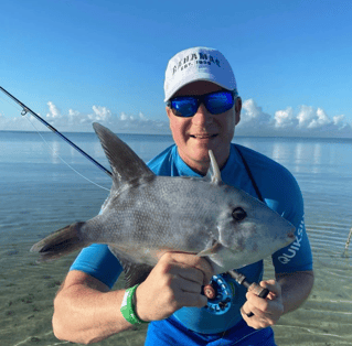 Triggerfish Fishing in