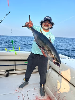 Tuna fishing trips. Midshore Offshore