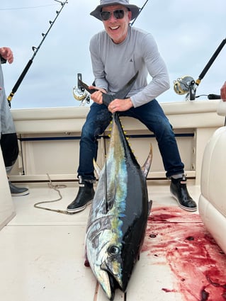 Tuna fishing trips. Midshore Offshore