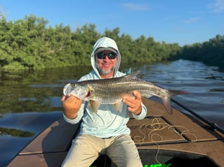 Full Day Fly Fishing/ Conventional sight fishing