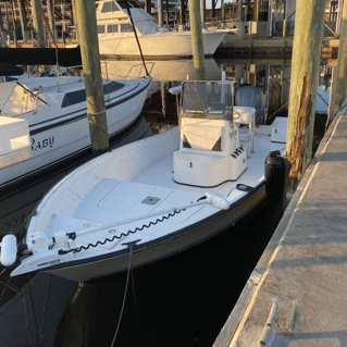 Biloxi Inshore Trip