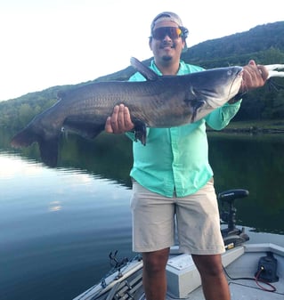 Blue Catfish Fishing in Chattanooga, Tennessee