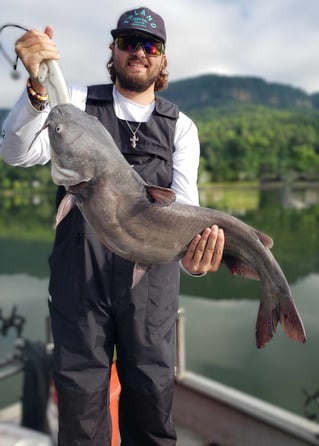 Blue Catfish Fishing in Chattanooga, Tennessee