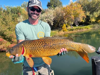 Carp Fishing in Meridian, Idaho