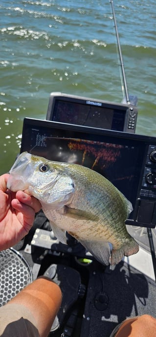 Crappie Fishing in Sanger, Texas