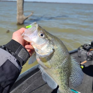 Lake Ray Roberts Guided Crappie Trip