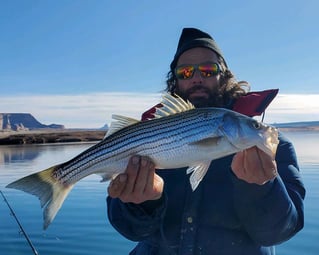 Striped Bass Fishing in Supai, Arizona