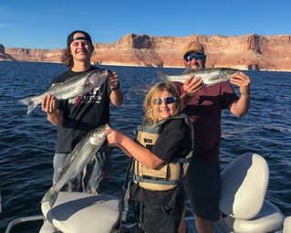 Lake Powell Fishing Trips