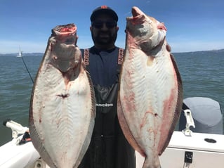 Halibut / Striper March - September