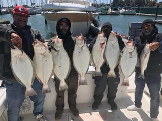 Halibut / Striper March - September