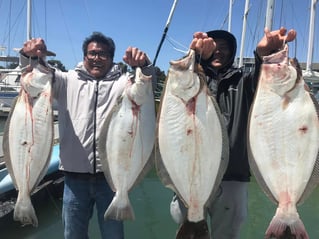 Halibut / Striper March - September