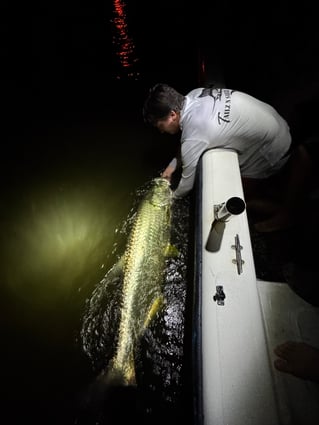 Tarpon Fishing in Port Orange, Florida